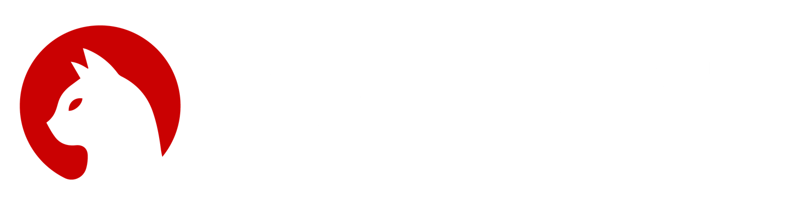 Boldcat_Logo_Colored_PNG_2-15